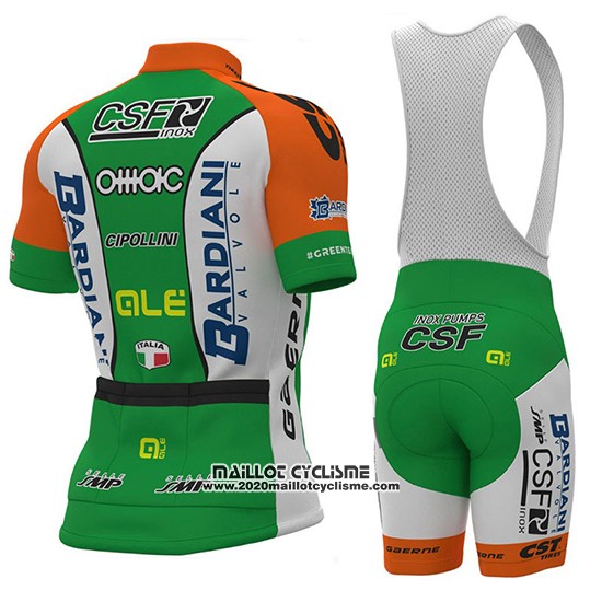 2018 Maillot Ciclismo Bardiani CSF Vert et Blanc Manches Courtes et Cuissard